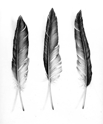 Cath Riley - miscellaneous:  feathers