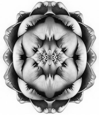 Cath Riley | Drawings and Illustration - food for thought