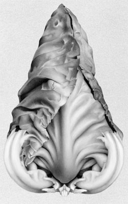 Cath Riley | Drawings and Illustration - food for thought