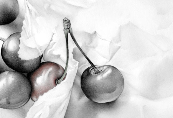 Cath Riley | Drawings and Illustration - food for thought