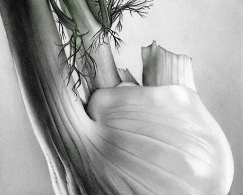 Cath Riley | Drawings and Illustration - food for thought