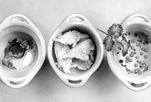 Cath Riley | Drawings and Illustration - food for thought