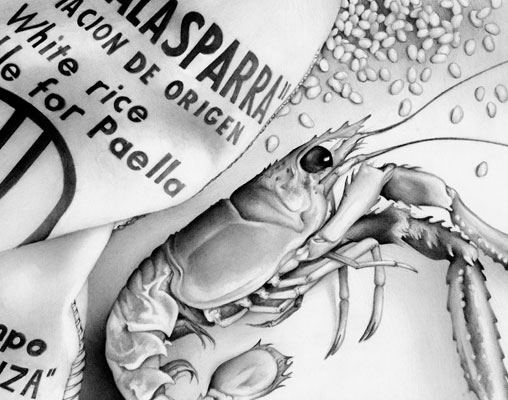 Cath Riley | Drawings and Illustration - food for thought