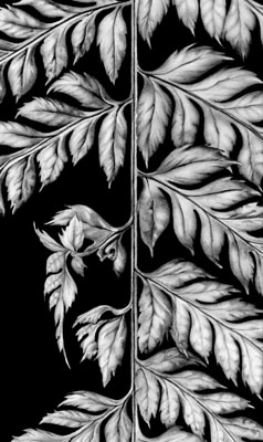 Cath Riley - miscellaneous:  fern leaf